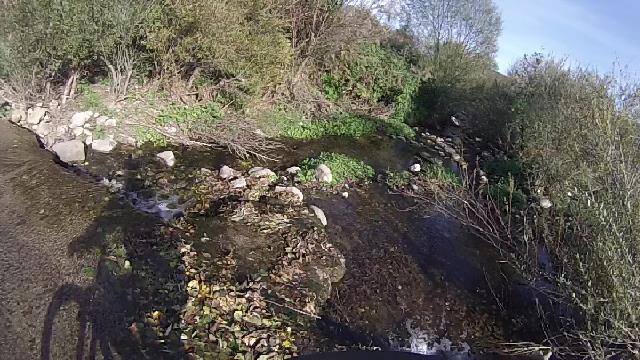 12295434_10206610504678706_416977008043674672_n